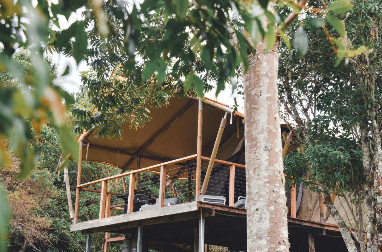 Silk Pavilions Glamping Mount Burrell Exterior foto